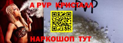 стафф Камышлов