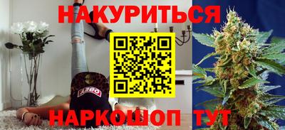 стафф Камышлов