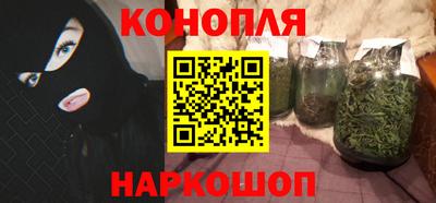 стафф Камышлов